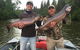Alaska Knotty Pine B&B - thumb 42