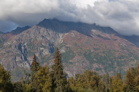 Pine Cottage At Alaska Backcountry Cottages - LBG 18