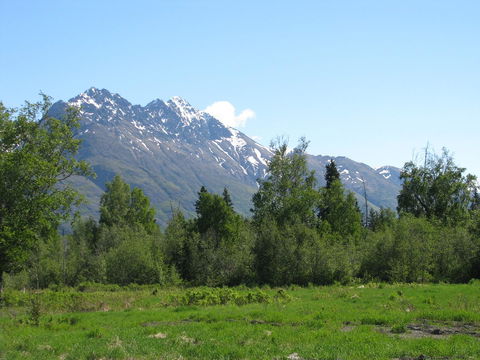 Pine Cottage At Alaska Backcountry Cottages - LBG 29