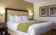 Comfort Suites At Tucson Mall - thumb 7