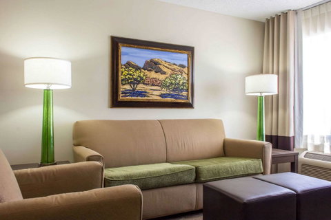 Comfort Suites At Tucson Mall - LBG 11