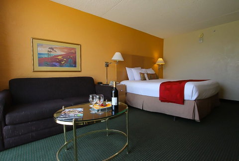 Ramada By Wyndham Tucson - LBG 5