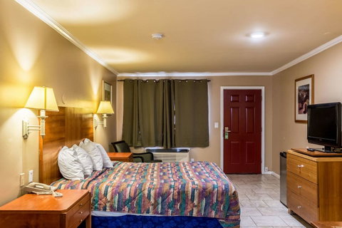 Wildcat Inn University - LBG 24