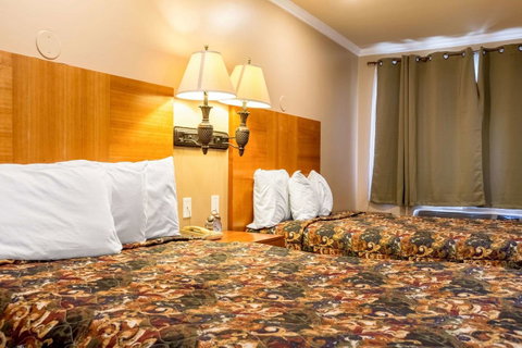 Wildcat Inn University - LBG 3