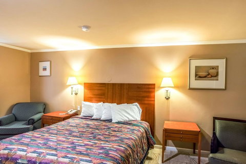 Wildcat Inn University - LBG 8