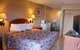 Wildcat Inn University - thumb 10