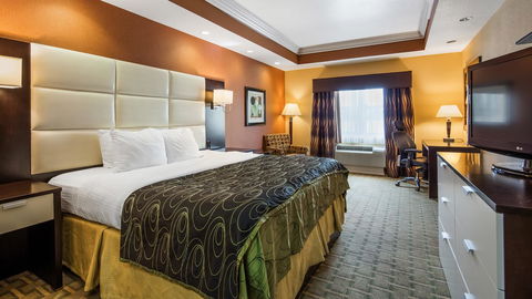 Best Western Plus JFK Inn & Suites - LBG 5