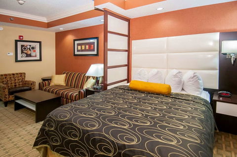 Best Western Plus JFK Inn & Suites - LBG 11