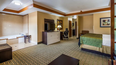 Best Western Plus JFK Inn & Suites - LBG 2