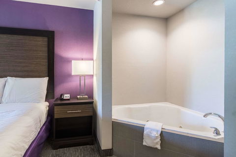 Econo Lodge Inn & Suites North Little Rock - LBG 29