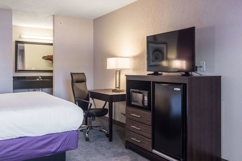 Econo Lodge Inn & Suites North Little Rock - LBG 19