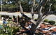 Americas Best Value Presidents Inn Monterey - thumb 5