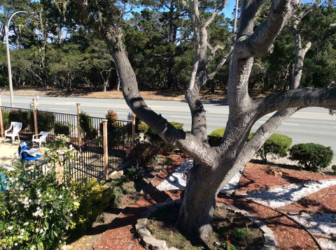 Americas Best Value Presidents Inn Monterey - LBG 5