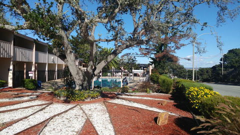 Americas Best Value Presidents Inn Monterey - LBG 33