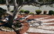 Americas Best Value Presidents Inn Monterey - thumb 6