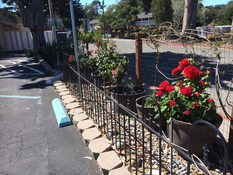 Americas Best Value Presidents Inn Monterey - LBG 27