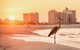 25805 Perdido Beach Condo - thumb 20