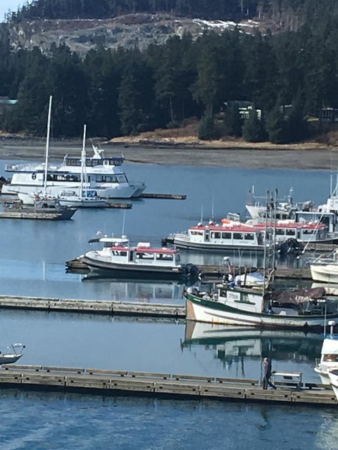 Harbor Haven At Auke Bay - LBG 21