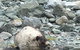 Harbor Haven At Auke Bay - thumb 23