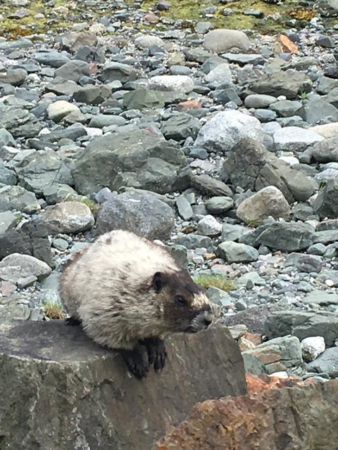 Harbor Haven At Auke Bay - LBG 23