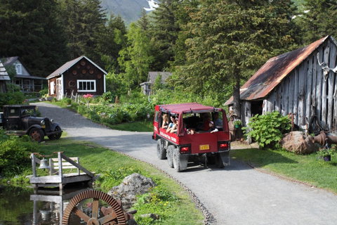 Placer Cabin - LBG 26