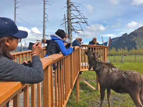 Placer Cabin - LBG 23