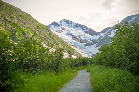 Alyeska West #708 - LBG 20