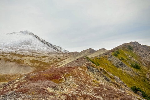 Alyeska West #708 - LBG 23