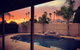 Oasis In The Palms - thumb 39