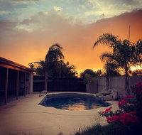 Oasis in the Palms