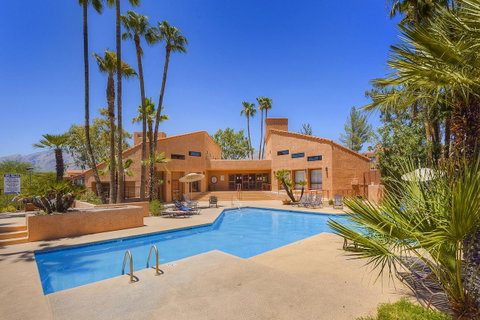 Sabino Canyon Gem - LBG 1
