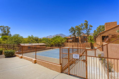 Sabino Canyon Gem - LBG 27