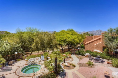 Sabino Canyon Gem - LBG 25