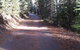 Elk Run Bed And Breakfast - thumb 9