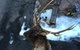 Elk Run Bed And Breakfast - thumb 6
