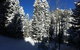 Elk Run Bed And Breakfast - thumb 7